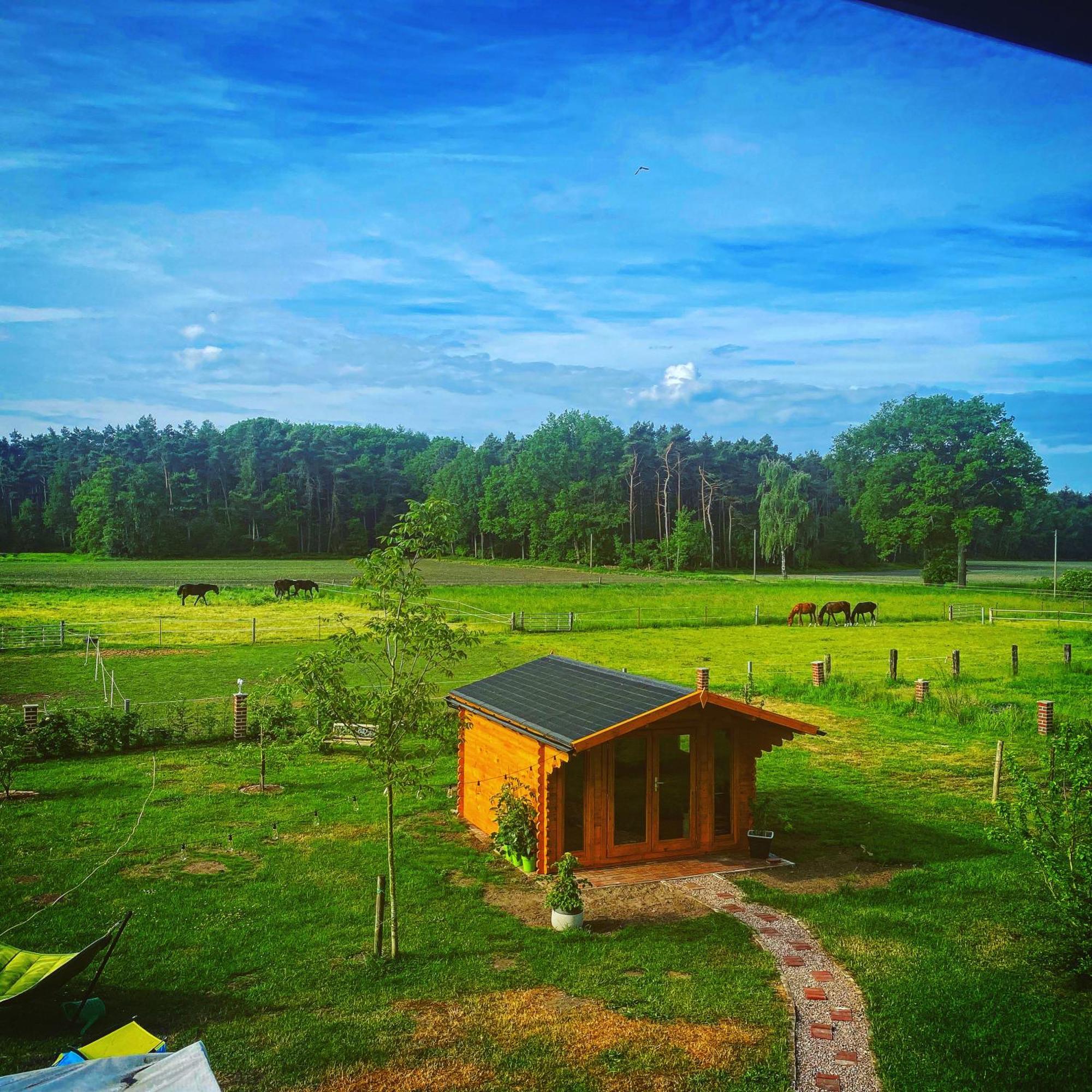 Wunderschoene Ferienwohnung Mit Balkon Auf Dem Bauernhof Greven Kültér fotó